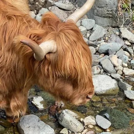 Rooms36 בית הארחה 4*