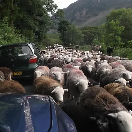 בית הארחה Rooms36 4*