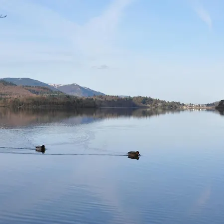 בית הארחה Rooms36 4*