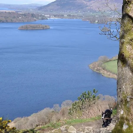 בית הארחה Rooms36